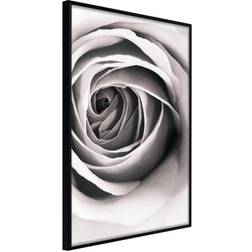 Arkiio Affisch Rose Vortex [Poster] 20x30 Poster